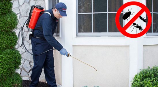 İstanbul Böcek İlaçlama böcek ilaçlama ve haşere kontrolü — ilaclama-tr.com